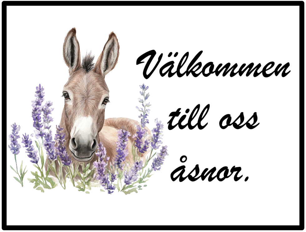 Åsnor