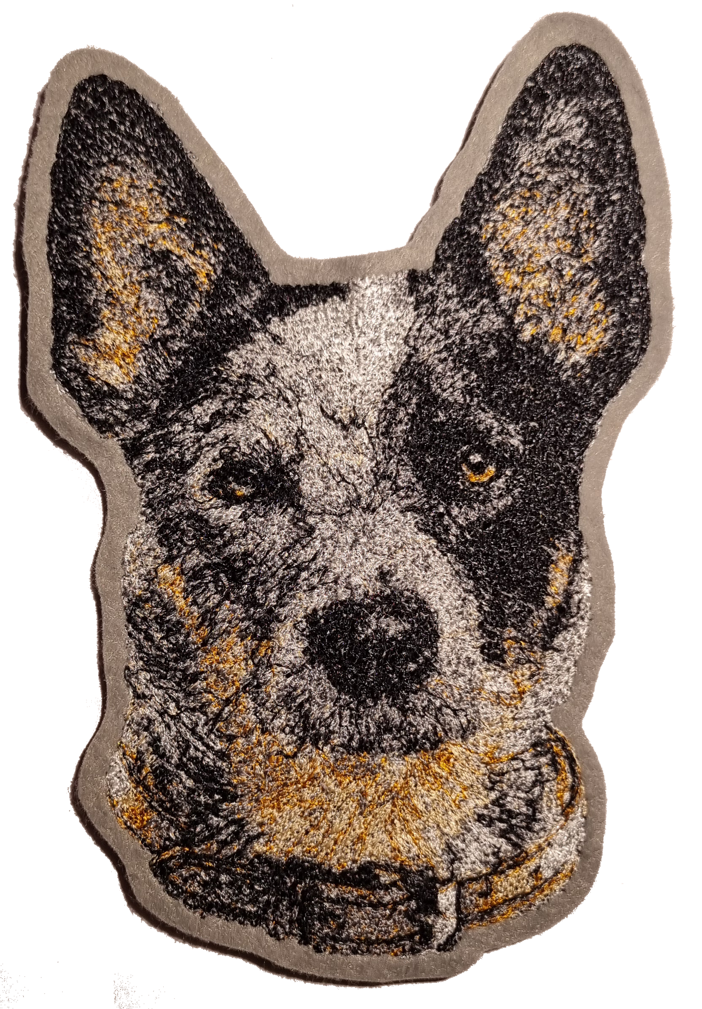 Australian Cattle Dog