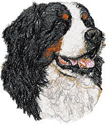Berner Sennen