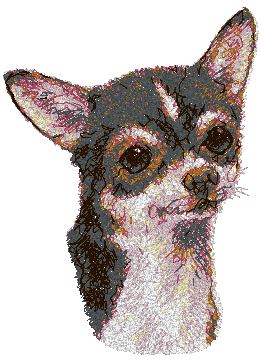 Chihuahua