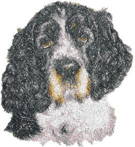 Engelsk Springer Spaniel