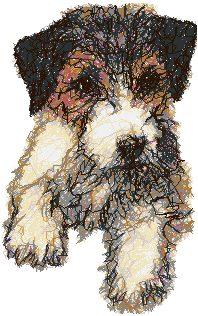 Foxterrier valp