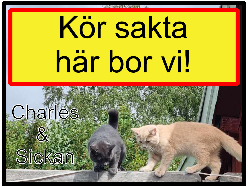 Kör sakta 40x30