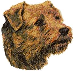 Norfolk terrier