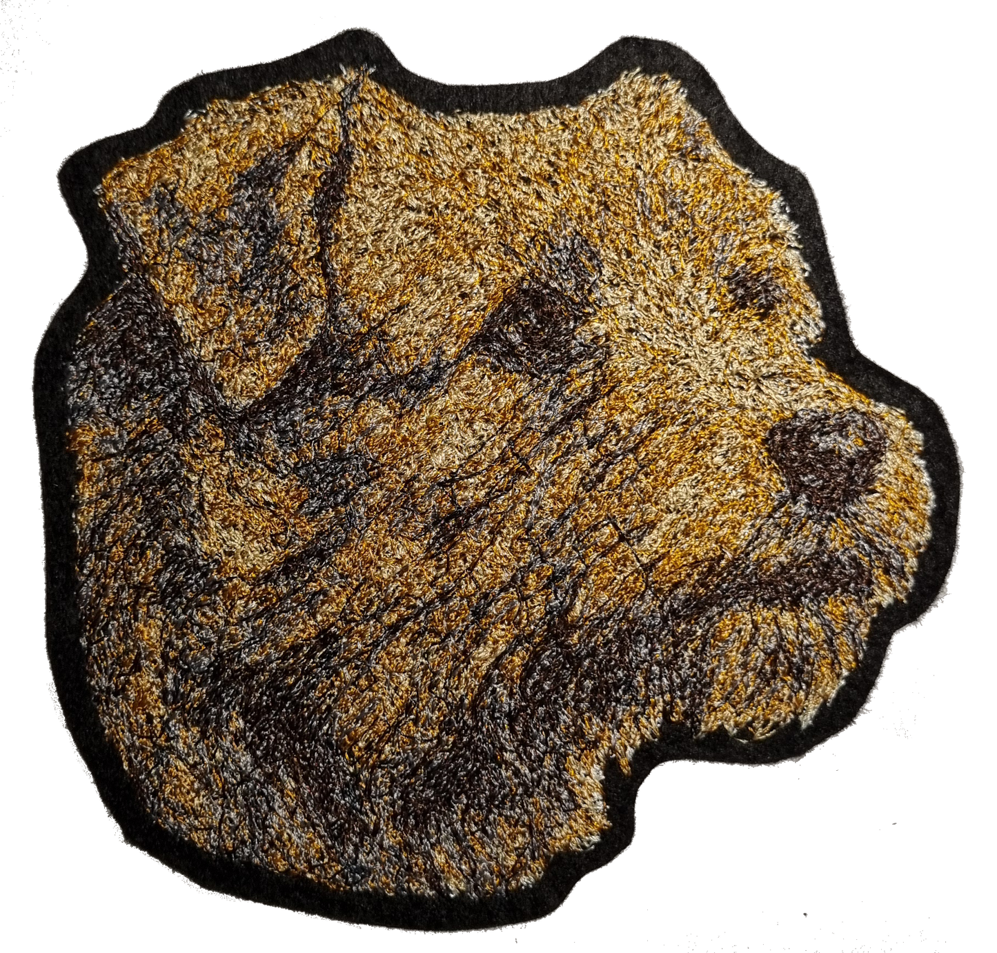 Norfolk terrier