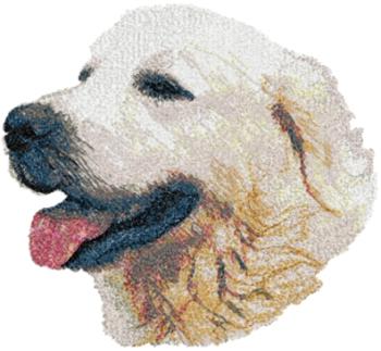 Polski owczarek podhalanski