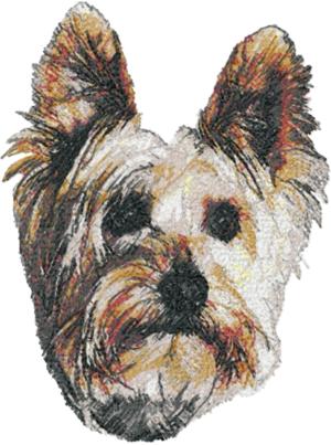 Silky Terrier