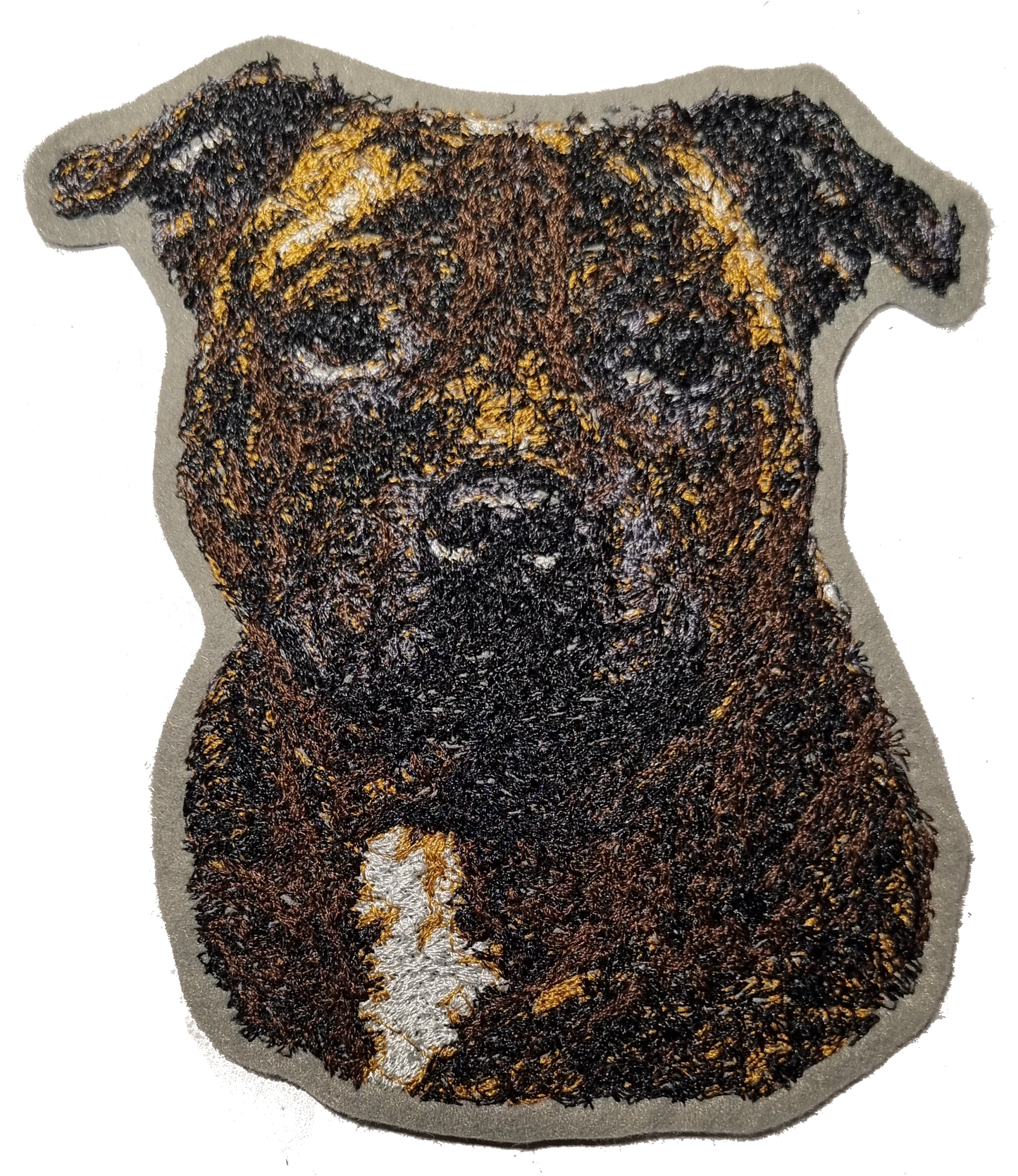 Staffordshire Bullterrier