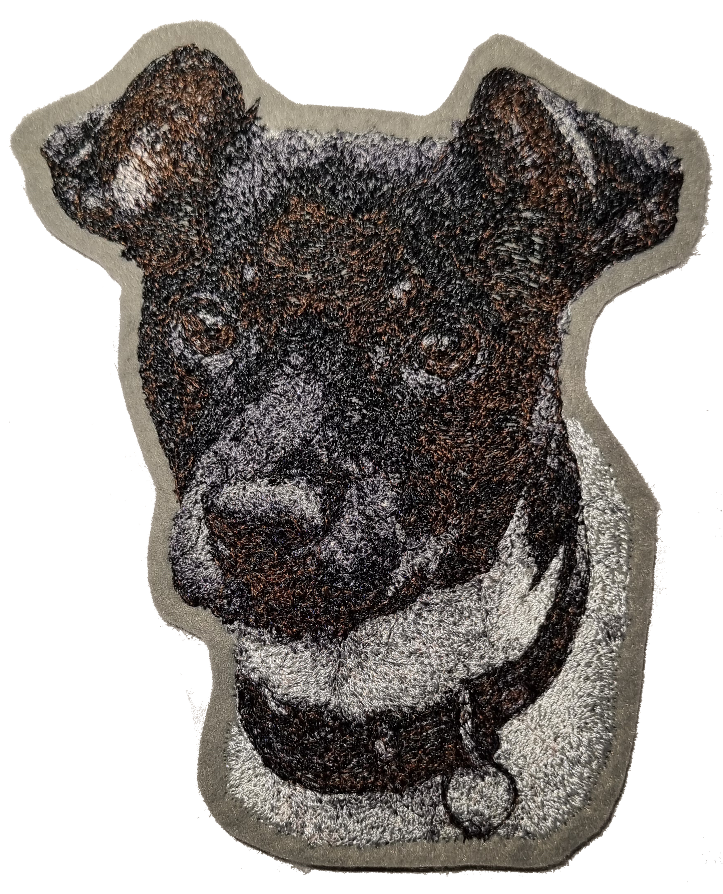 Dansk-Svensk Gårdshund