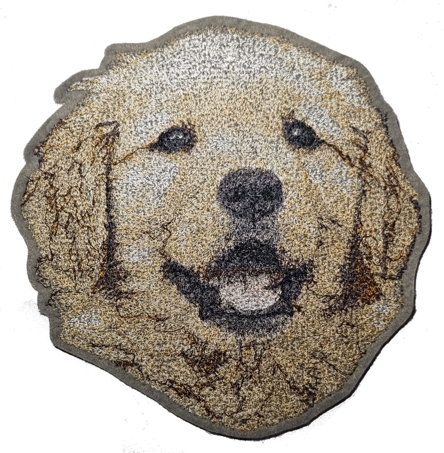 Golden Retriever valp