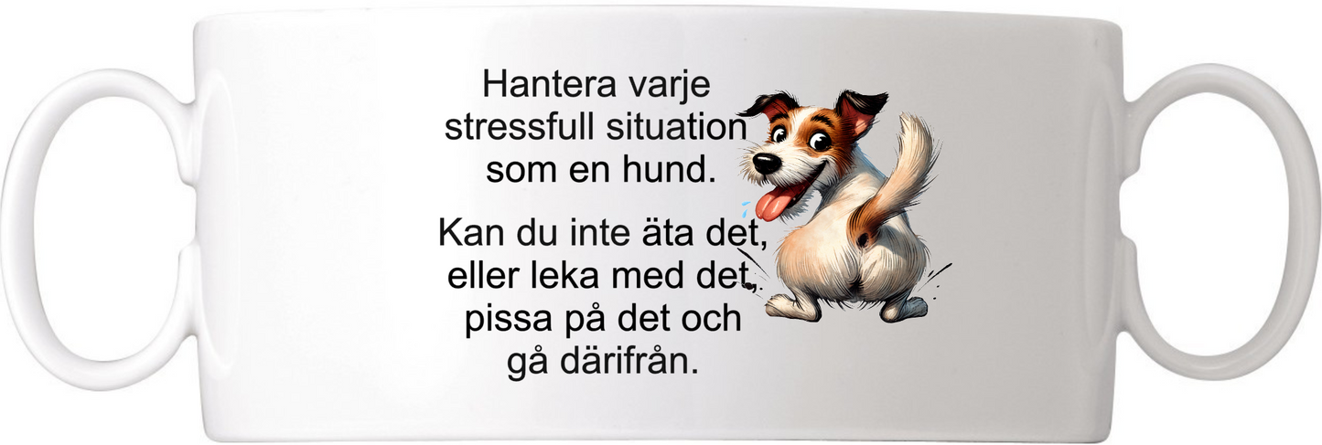 Hantera varje stressfull...