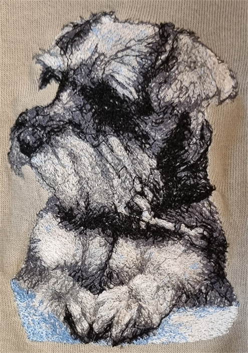 Schnauzer
