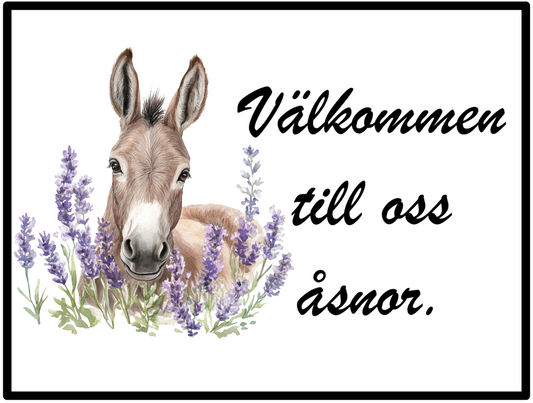 Åsnor