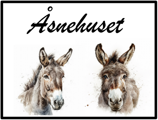 Åsnor