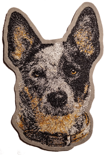 Australian Cattle Dog