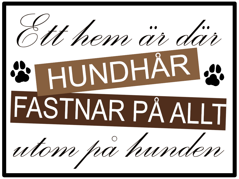 Hundhår