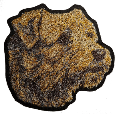 Norfolk terrier