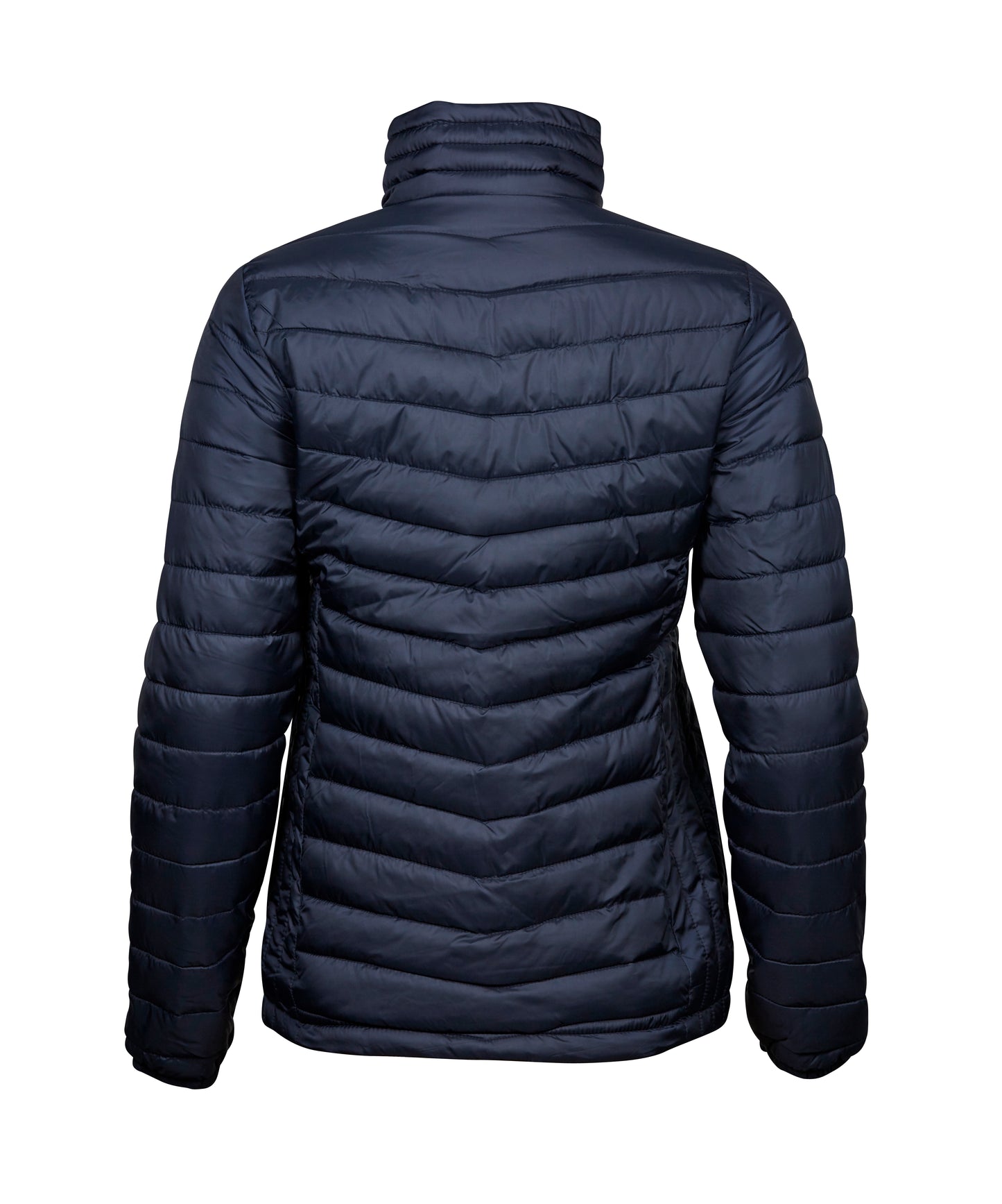 Women´s Zepelin Jacket