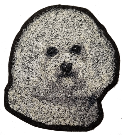 Bichon Frisé