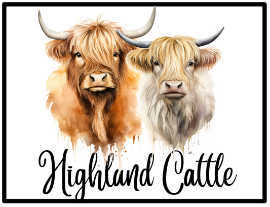 Highland Cattle