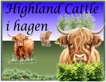 Highland Cattle i hagen