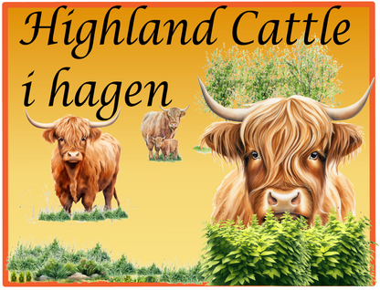 Highland Cattle i hagen