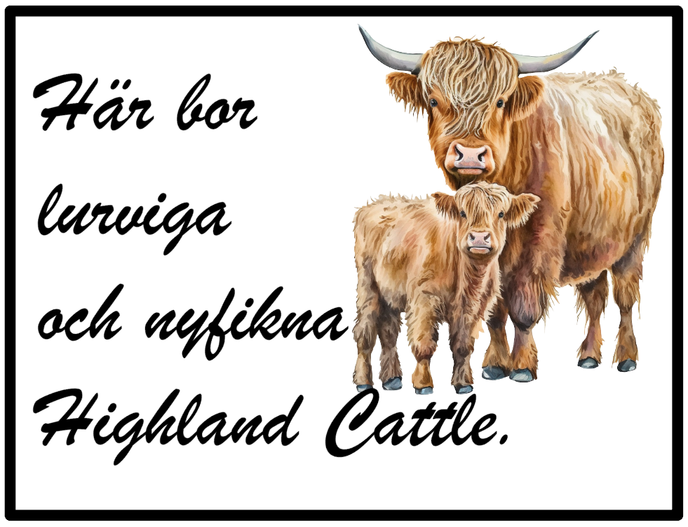 Highland Cattle