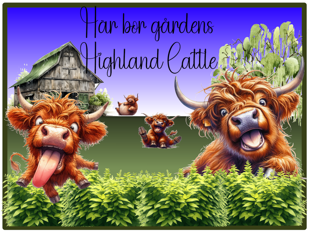 Highland Cattle